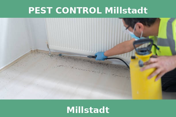 PEST CONTROL Millstadt